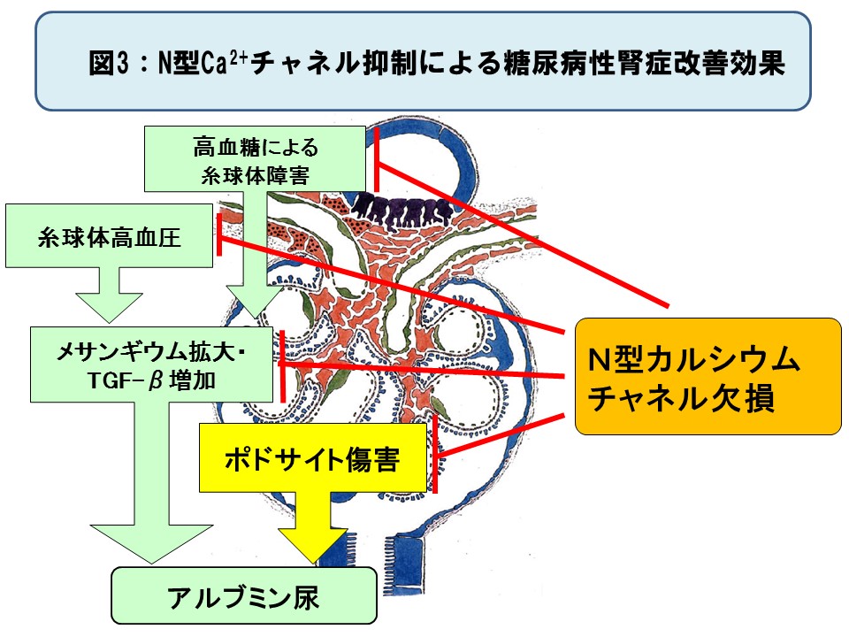 横井グループ